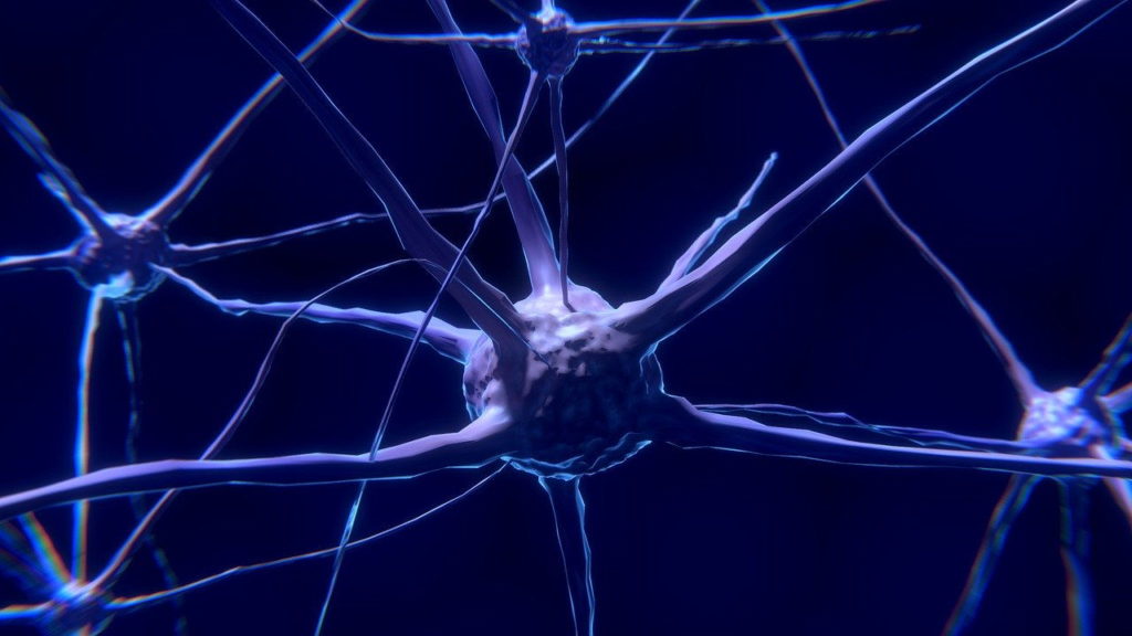 Toxina botulínica: Concepto y definición