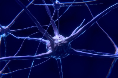 Toxina botulínica: Concepto y definición